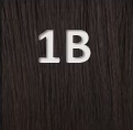P1B30