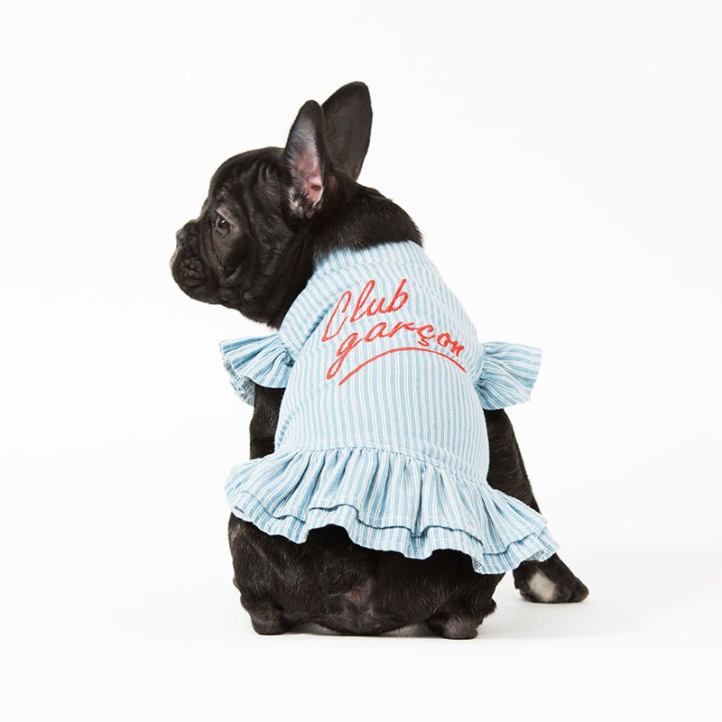 Stylish Light Denim Dog Dress - Comfortable & Fashionable Pet Outfit for Small to Medium Dogs - Perfect for Walks, Parties & Photo Shoots