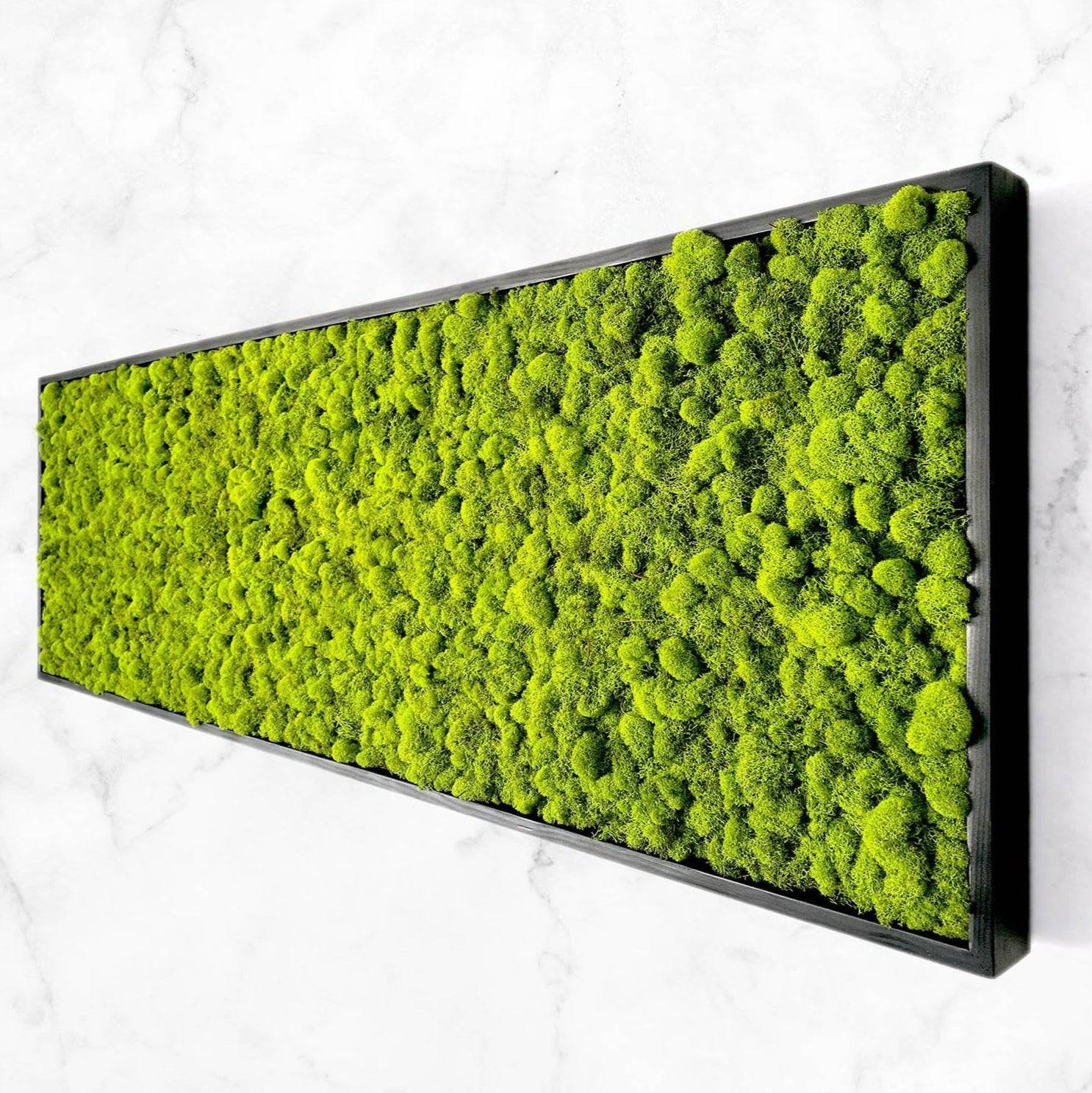 Natural Preserved Reindeer Moss Wall Art Decor - Eco-Friendly Home & Office Decoration for Living Room, Bedroom, or Wedding Backdrop