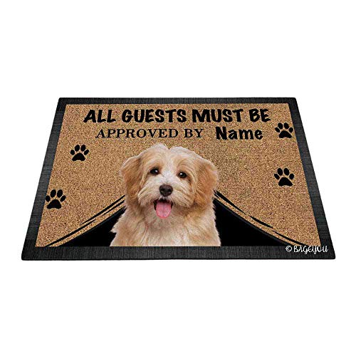 Reddish Havanese