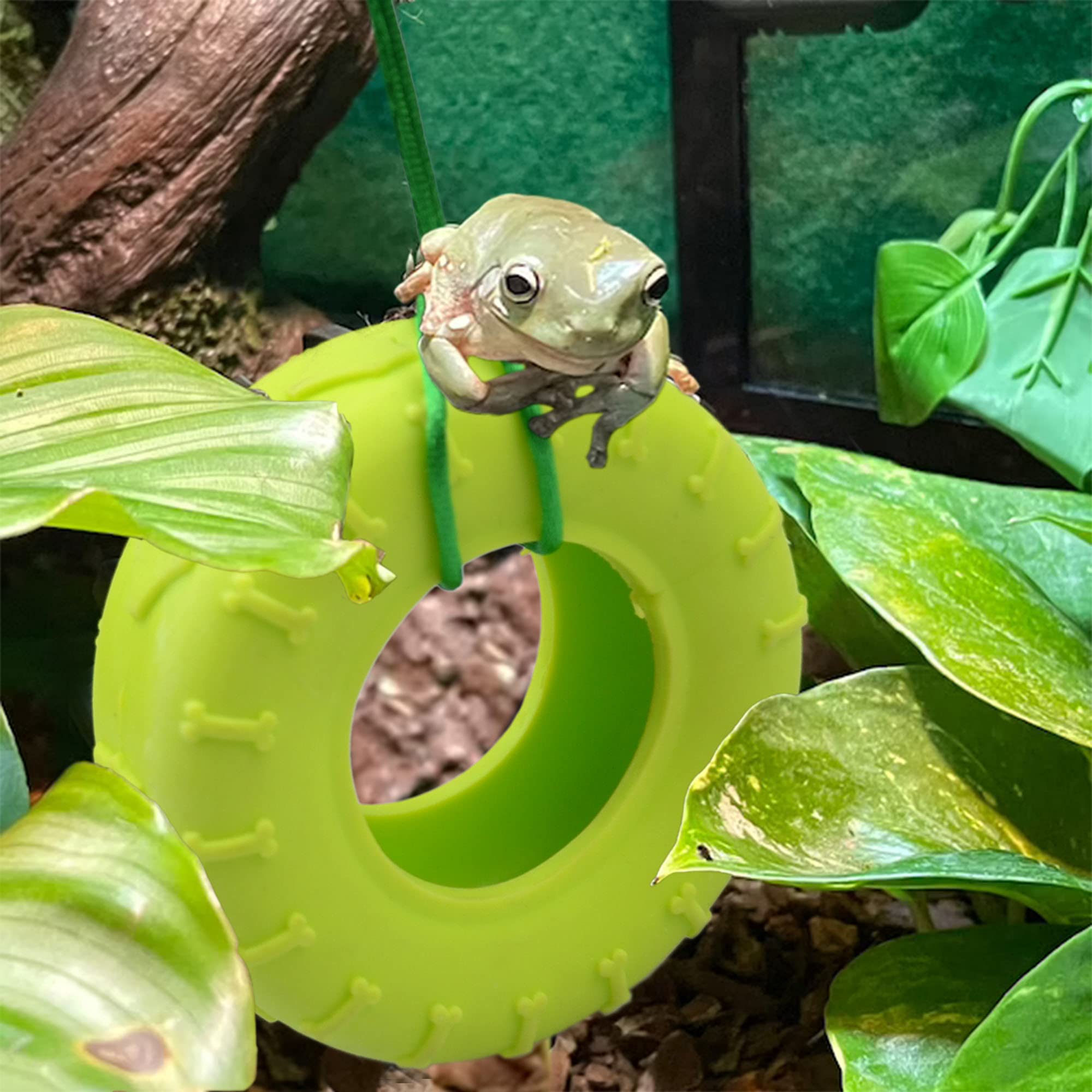 Miniature Tire Swing with Suction Cup Hook - Fun Climbing Toy for Tree Frogs, Reptiles & Amphibians - Perfect for Terrariums, Vivariums & Pet Habitats