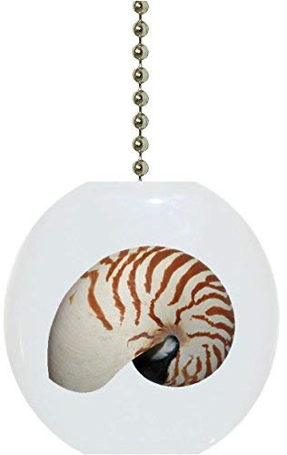 Handmade Nautilus Seashell Ceramic Ceiling Fan Pull - Vintage Coastal Decor for Beach House, Bathroom, Porch & Bedroom