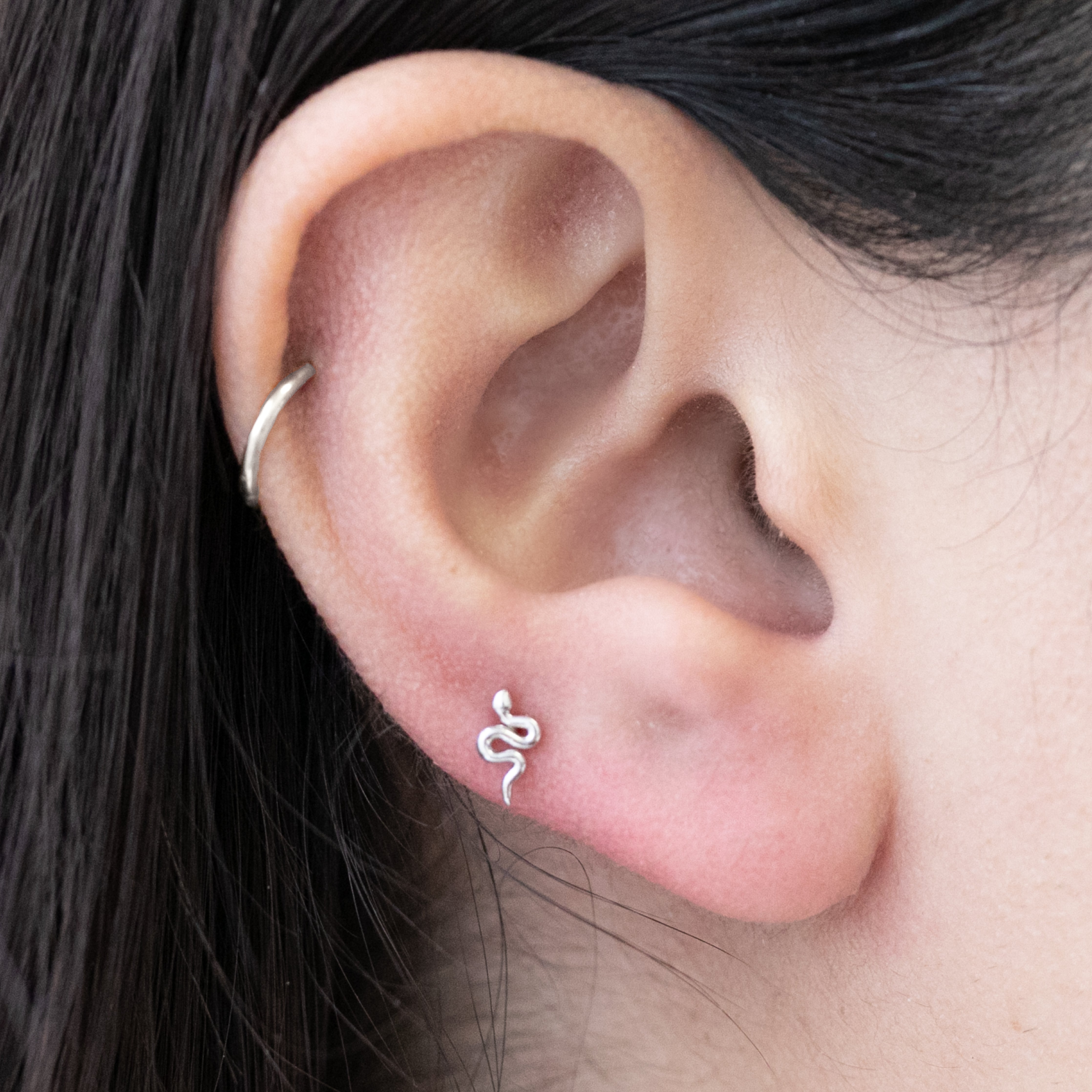 14K White Gold Snake Flat Back Stud Earrings for Women - Hypoallergenic & Durable - Perfect for Everyday Wear, Parties & Gifts