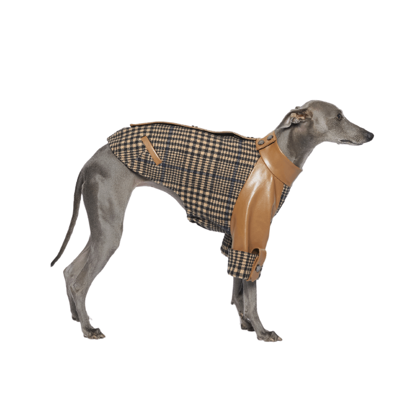 Stylish Ashwood Checked Jacket for Men & Women - Classic Plaid Coat with Premium Cotton Blend - Perfect for Fall Fashion, Outdoor Adventures & Casual Office Wear