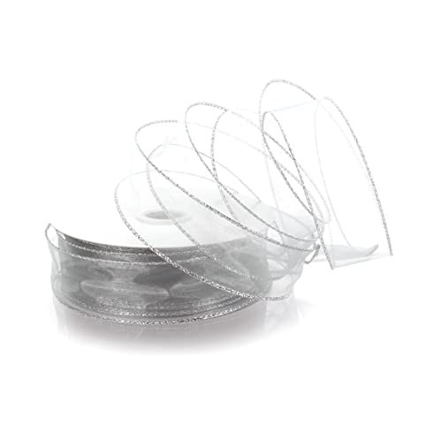009 Silver HBC