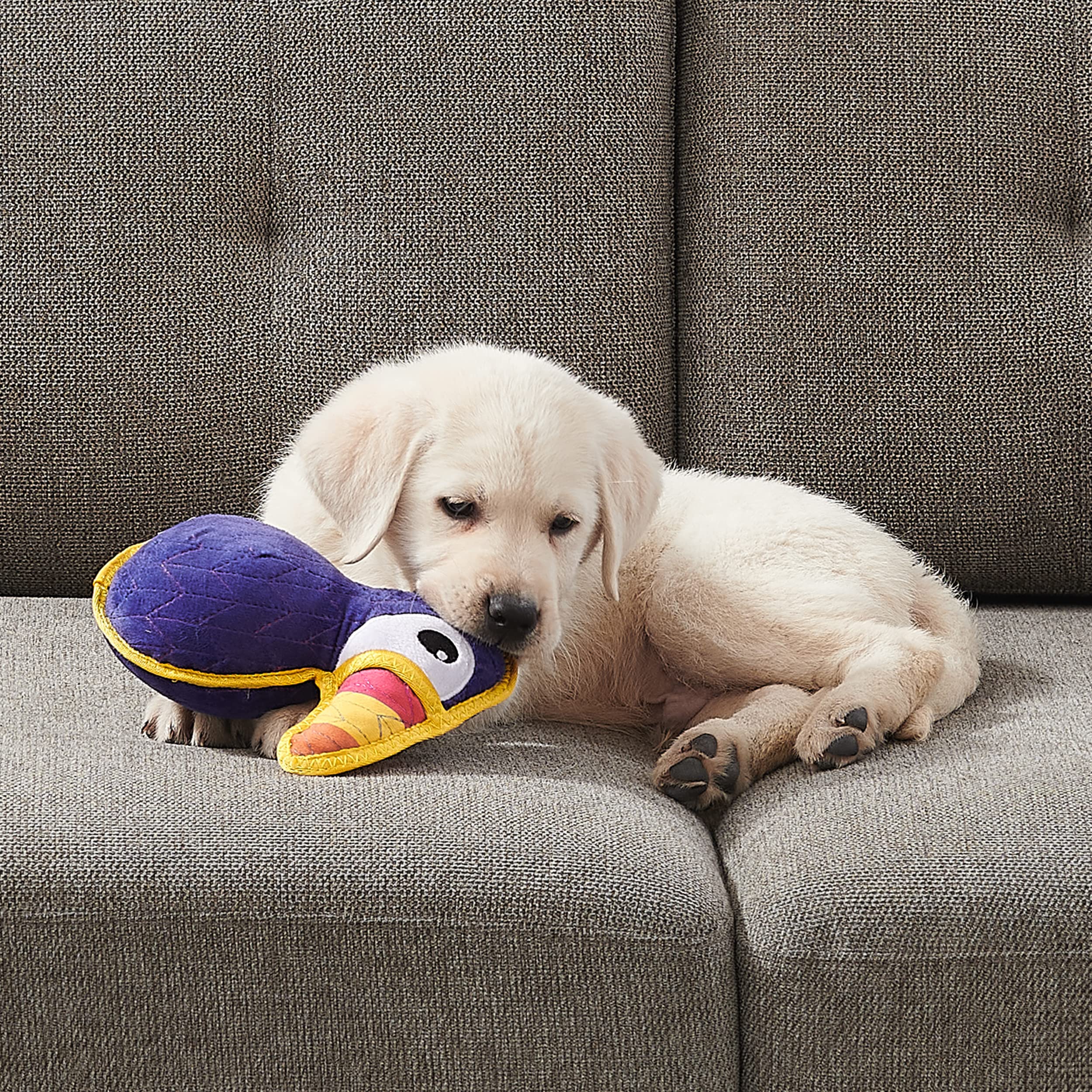 Outward Hound Xtreme Seamz Toucan Squeaky Durable Dog Toy - Chew Resistant Interactive Pet Toy for Aggressive Chewers - Perfect for Playtime, Training & Outdoor Adventures