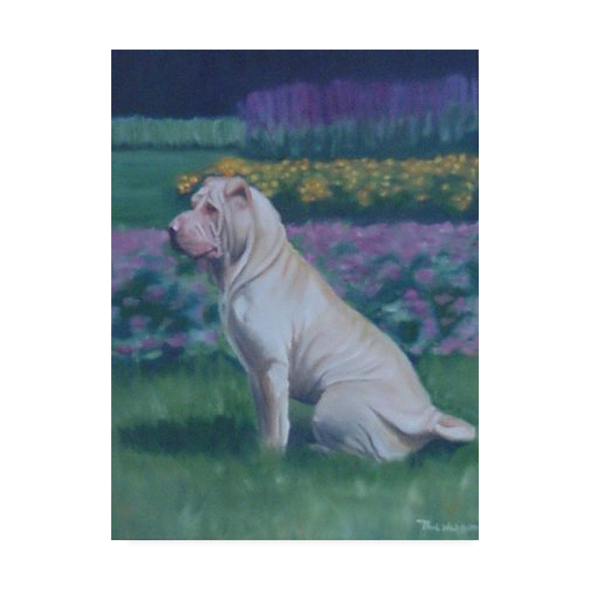 Paul Walsh Dog Pet Fine Art Print - 35x47 Inches - Premium Canvas Wall Decor for Living Room, Bedroom & Office