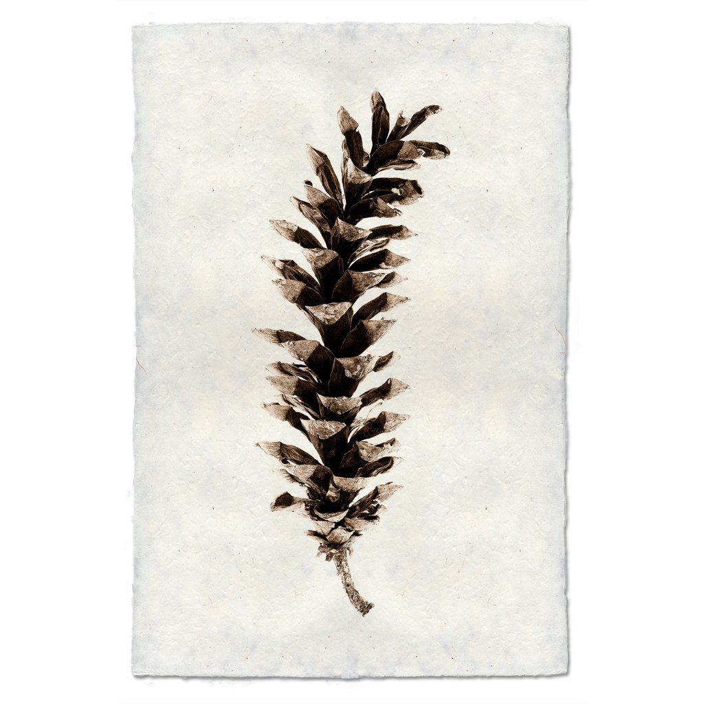 Eastern White Pine Art Print on Nepalese Paper - Handmade Wall Decor for Home, Office & Meditation Spaces