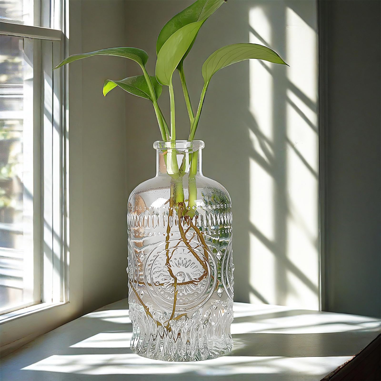 Glass Propagation Vases for Plants & Flowers - Home & Office Decor