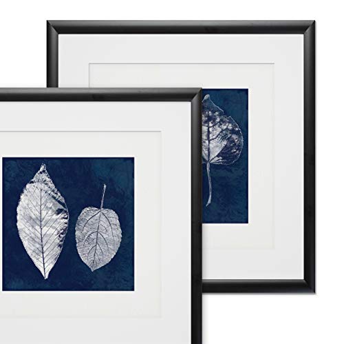 Cyanotype Ash Leaves
