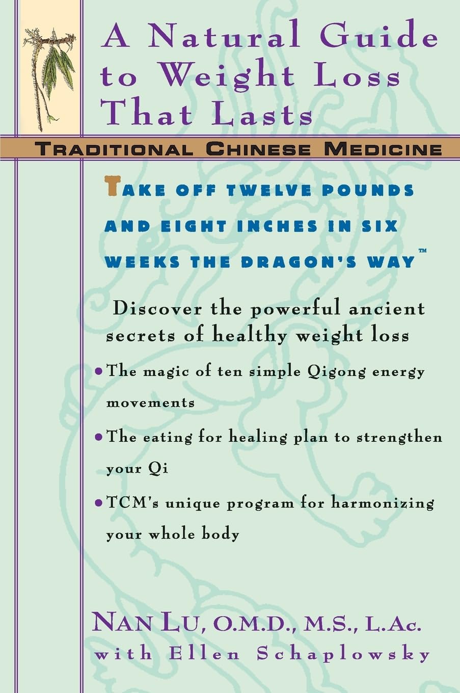 TCM Weight Loss Guide: Natural & Lasting Solutions with Traditional Chinese Medicine | Herbal Remedies for Healthy Weight Management & Wellness