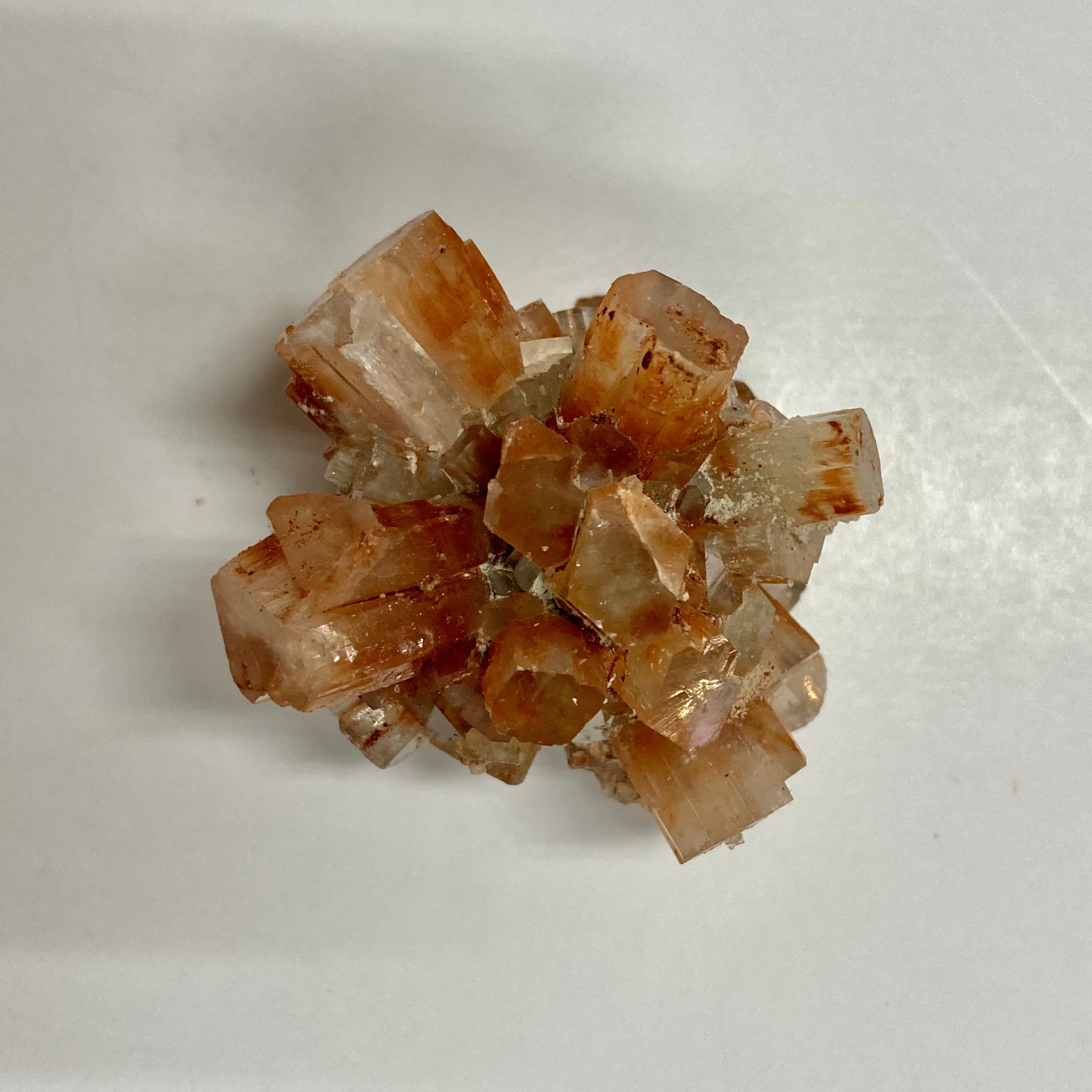 Premium Aragonite Sand - Natural Calcium Carbonate for Aquariums, Reef Tanks & Marine Ecosystems | Ideal for Water Filtration, pH Balancing & Coral Growth