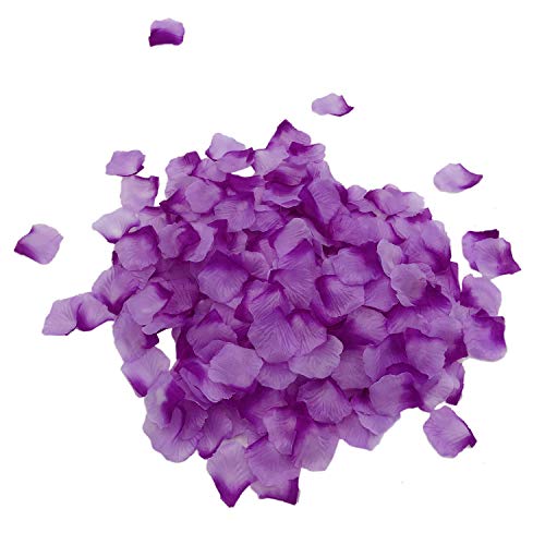 Dark Purple Plus Light Purple