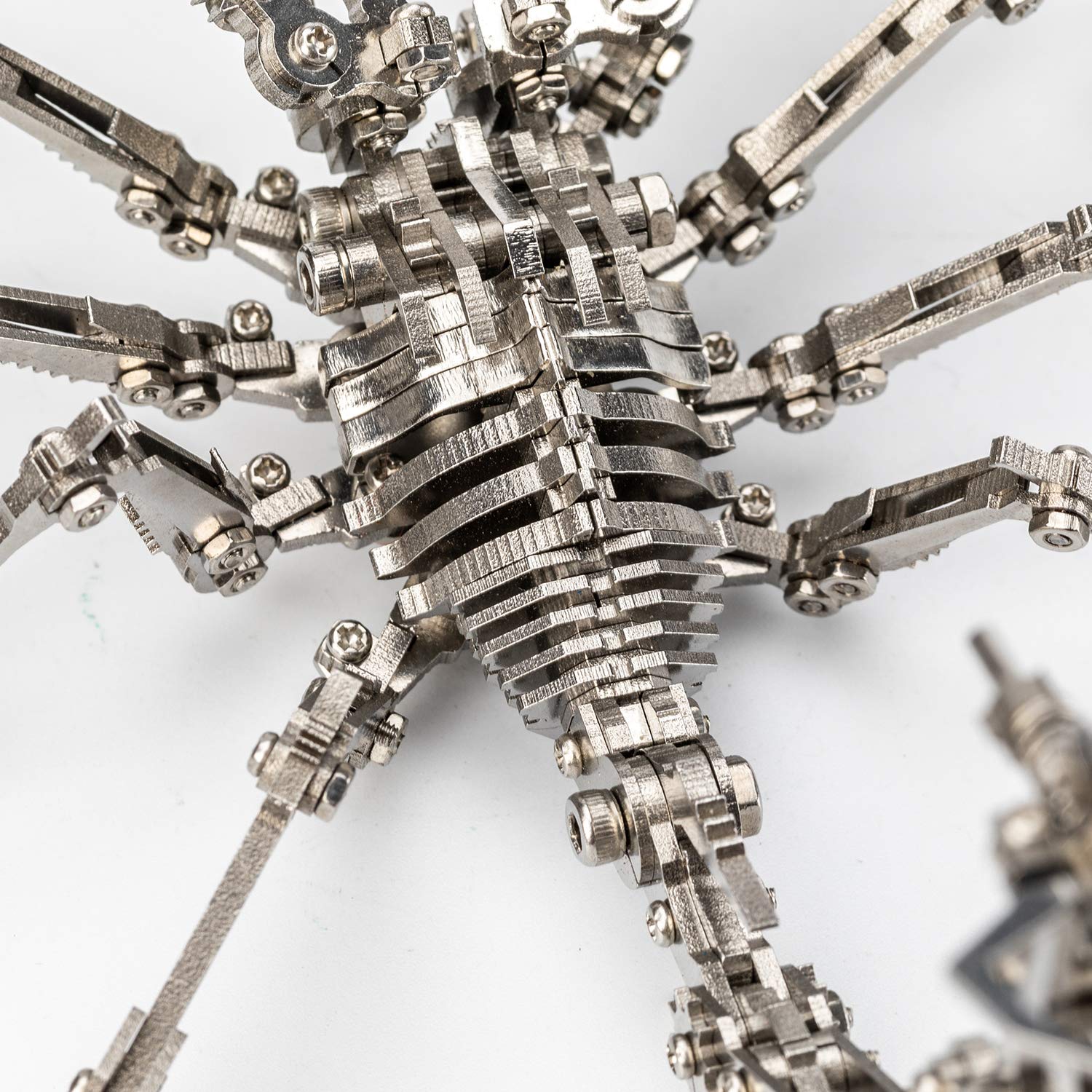 3D Metal Model Kits for Adults - DIY Robot Scorpion & Insect Puzzle Building Toys with Joint Mobility | Christmas Gift Idea for Hobbyists & Collectors | Perfect for Stress Relief, STEM Education & Home Decoration
