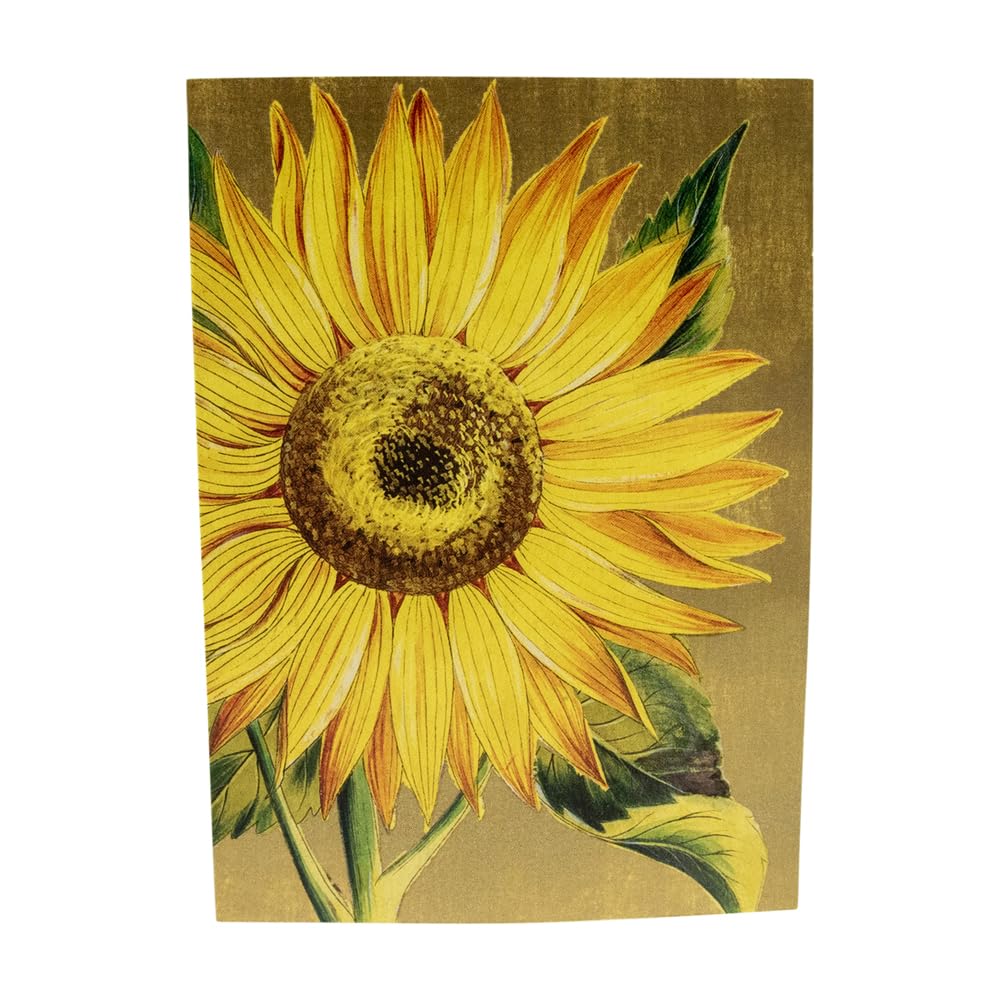 Caspari Sunflower Blank Note Cards Set - 16 Elegant Greeting Cards with Envelopes | Perfect for Thank You Notes, Birthday Wishes & Special Occasions