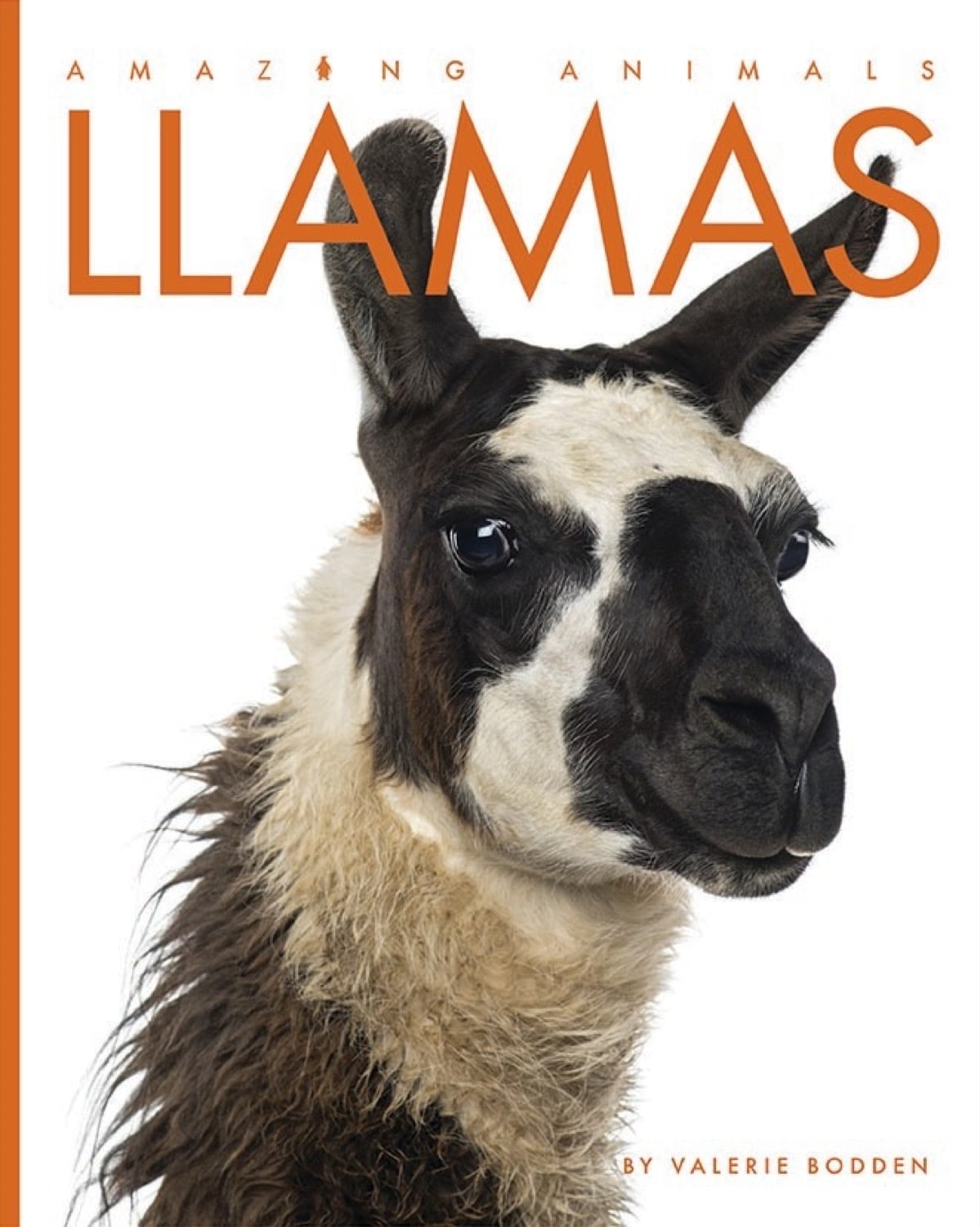 Amazing Animals (2014): Llamas - Educational Wildlife Documentary for Kids | Perfect for Homeschooling & Nature Learning