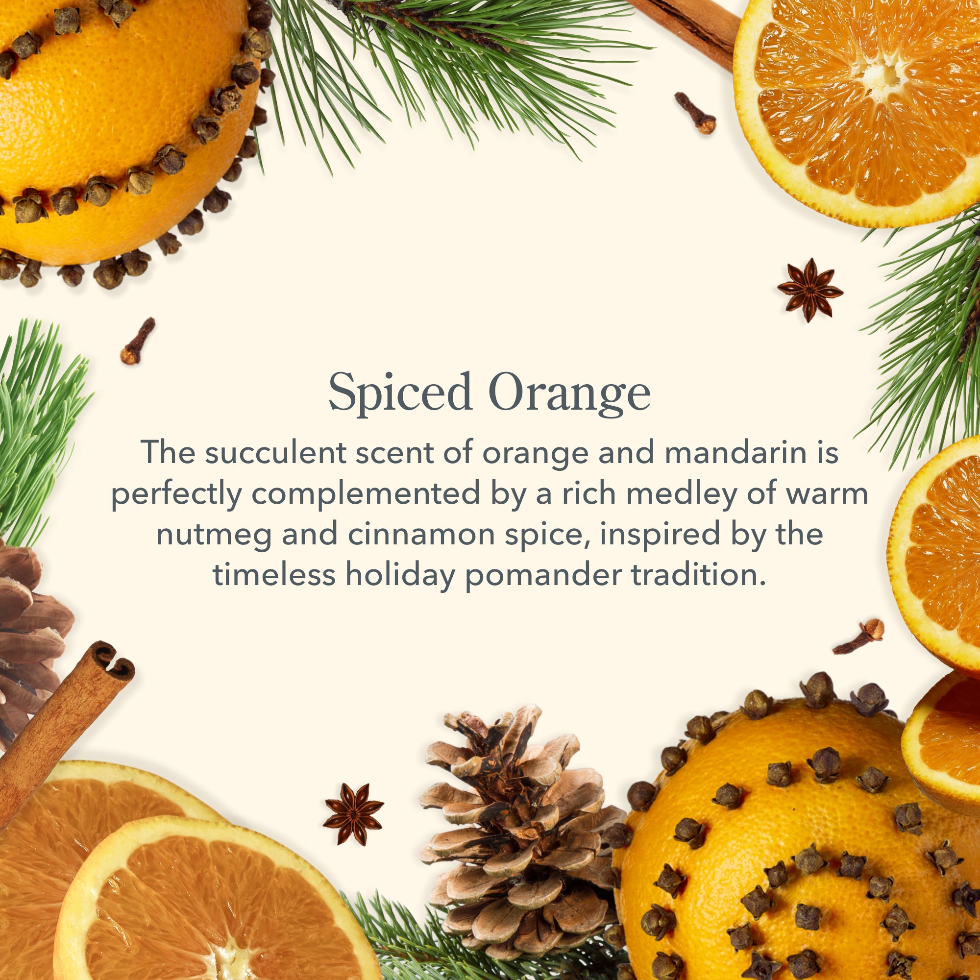 Spiced Orange Scented Hand Cream for Dry Skin - Moisturizing & Nourishing - Perfect for Winter Care & Gift Giving