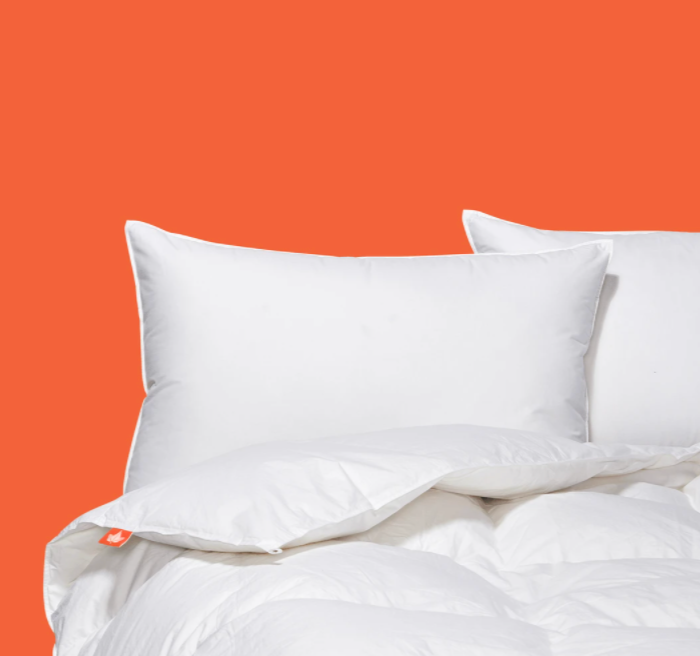 Premium White Down Duvet - 625 Loft Fill Power - Ultra Soft & Warm Comforter for All Seasons - Perfect for Master Bedroom, Guest Room & Cozy Home Decor