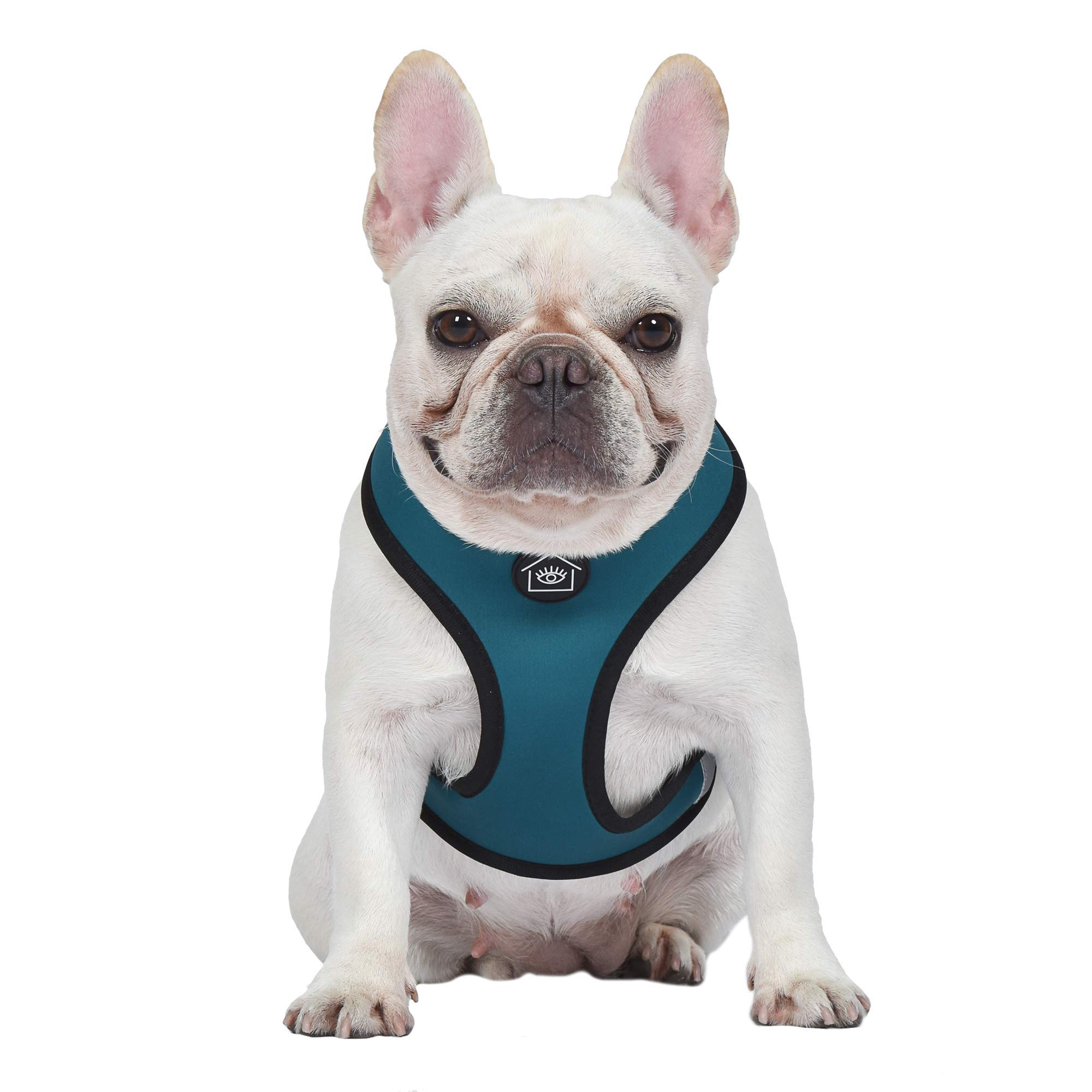 Jonathan Adler Leo Reversible Dog Harness - Small | Fashionable Leopard Print Pet Accessory for Small Dogs | Perfect for Walks, Travel & Outdoor Adventures