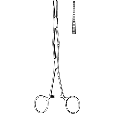 Buck Gramcko Tendon Retriever 8