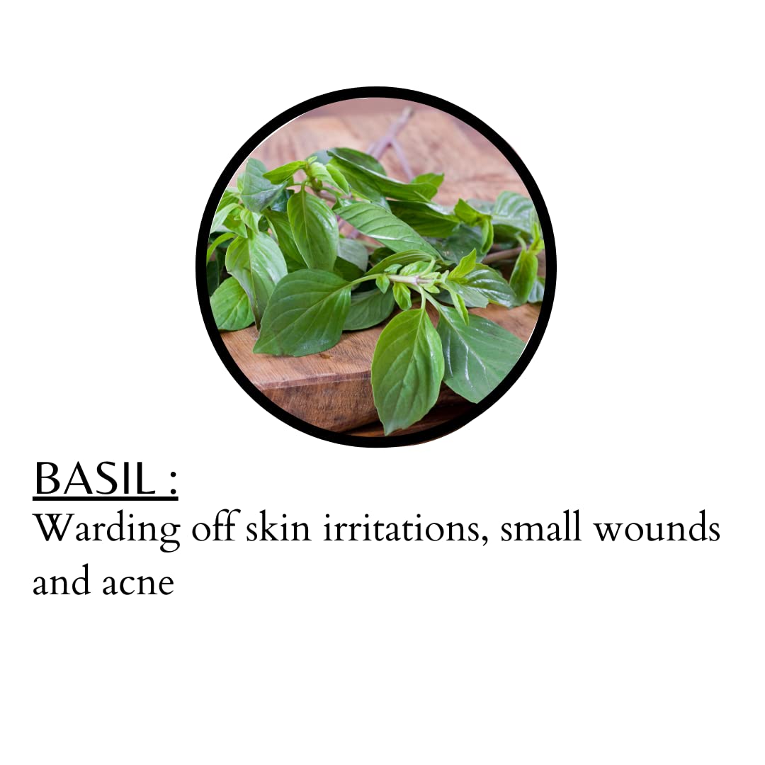 Sindhu Herbals Pore Tightening Basil Face Pack - Reduces Acne & Pimples for Healthy Glowing Skin (100g) | Natural Skincare for Oily & Acne-Prone Skin | Daily Facial Treatment for Clear Complexion