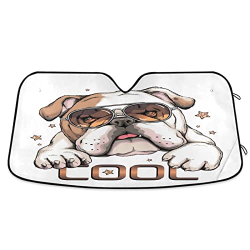 English Bulldog