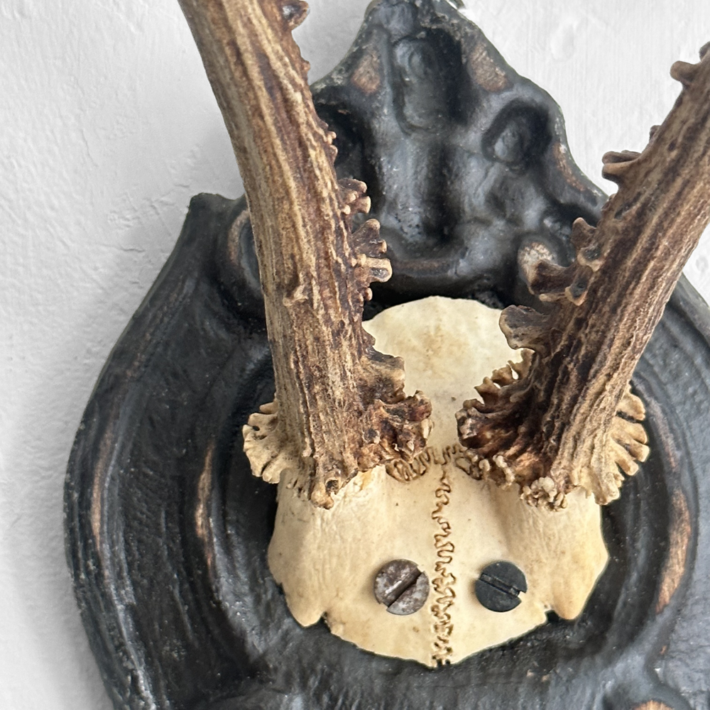 Handmade Black Forest Deer Antlers on Carved Wood Plaque - Rustic Home Decor for Cabin, Lodge & Hunting Cabin Wall Art (#556)