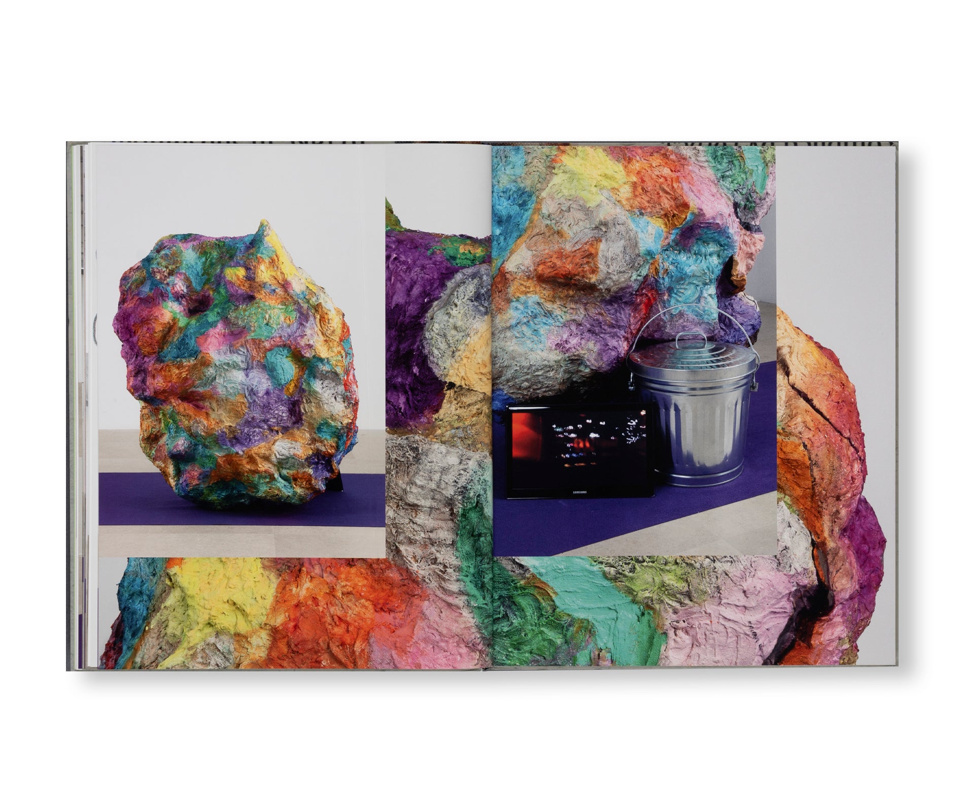 RACHEL HARRISON: FAKE TITLE Art Book by Rachel Harrison - Contemporary Art Collection for Home Decor & Artist Inspiration