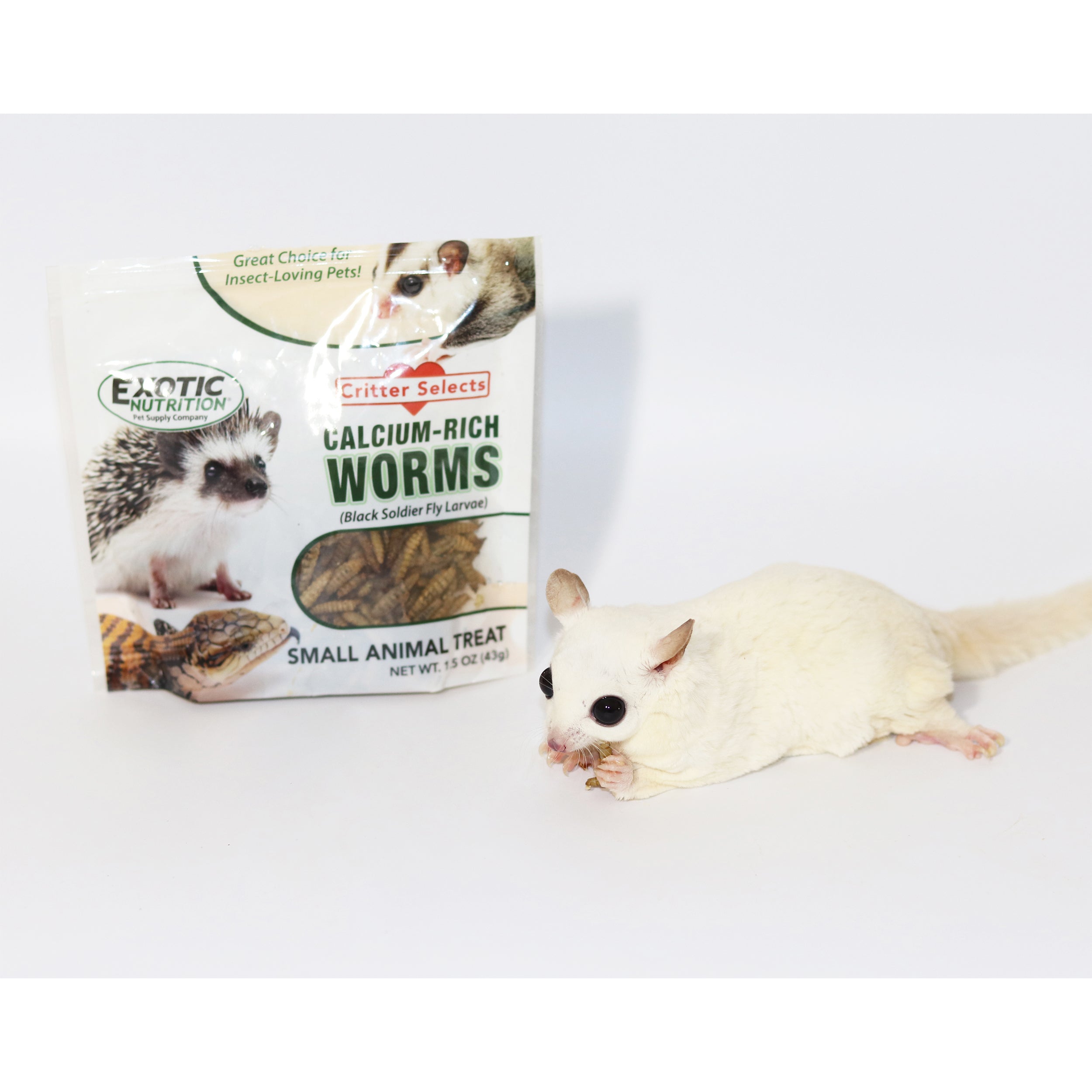 Premium Squirrel Treats Bundle - Natural Nut Mix for Wild Squirrels - Perfect for Backyard Feeding, Park Visits & Wildlife Watching