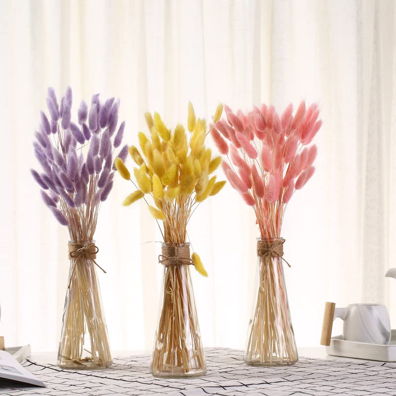 60/30Pcs Natural Dried Pampas Grass Bouquet - Real Rabbit Tail Grass for Wedding, Easter & Home Decor - Perfect for Centerpieces, Wall Arrangements & Boho Styling