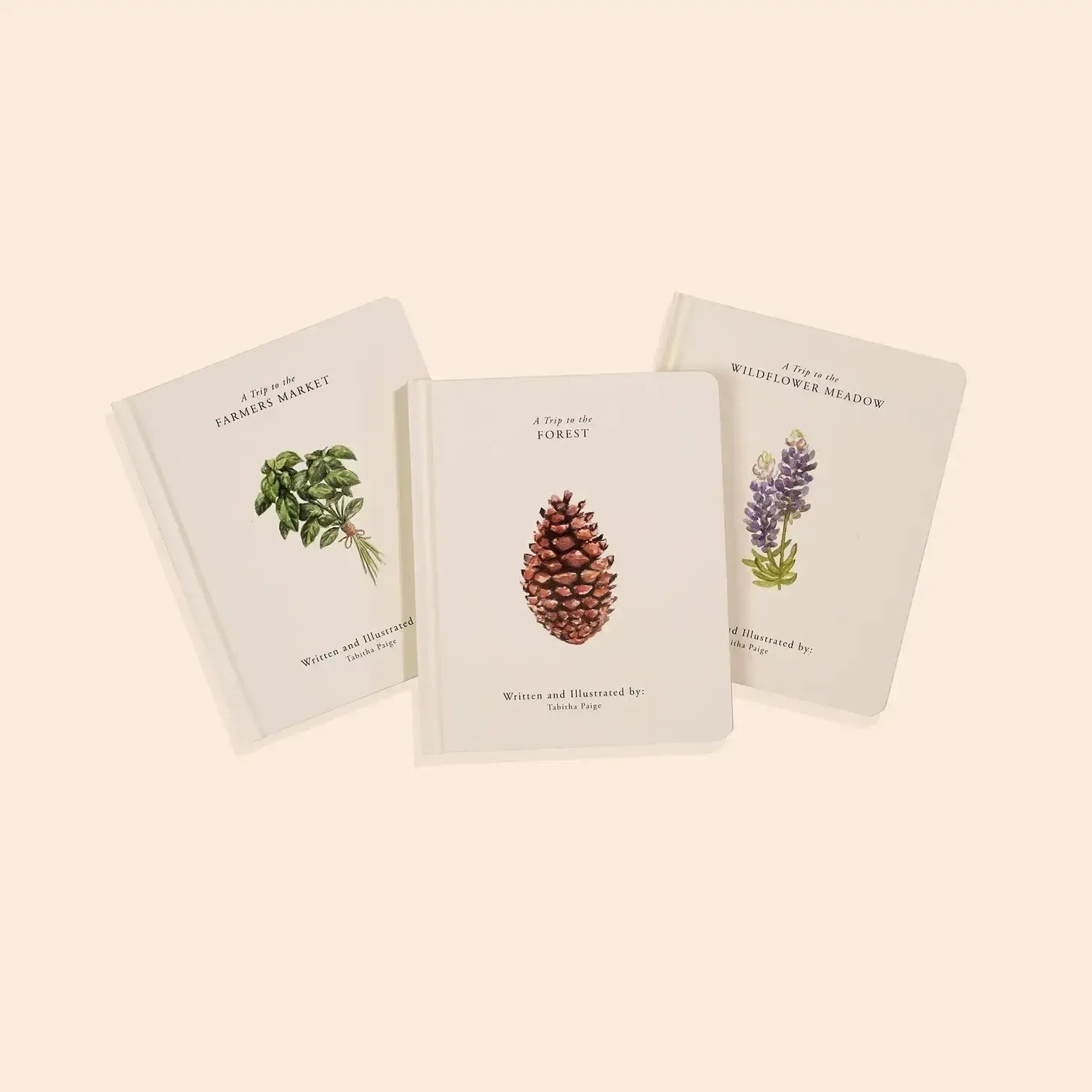 Our Little Adventures Box Set by Paige Tate & Co. – Fun & Educational Activity Books for Kids – Perfect for Storytime, Travel & Learning at Home