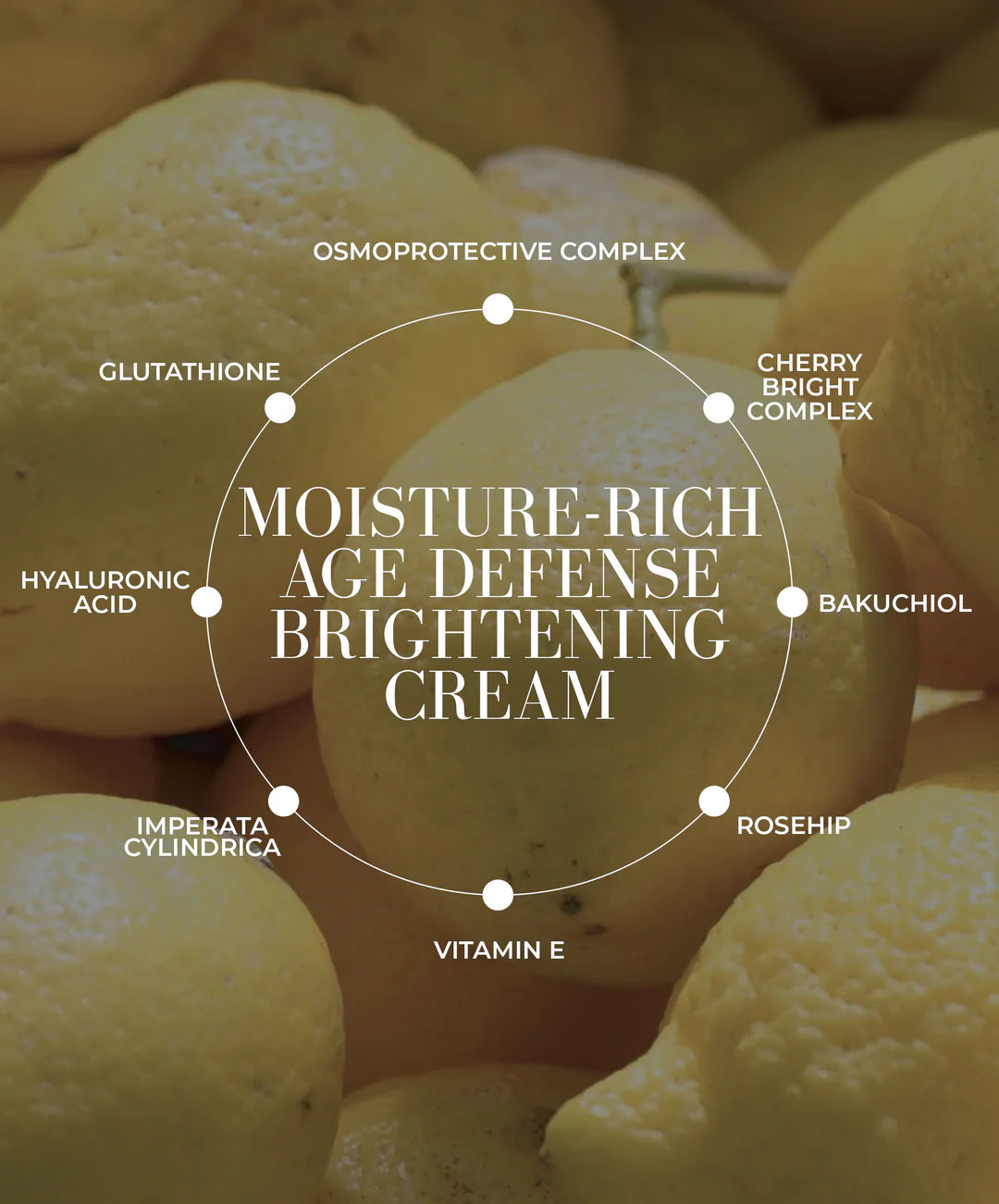 VITA RICH Bakuchiol + Glutathione Anti-Aging Face Cream for Wrinkles & Brightening - Free Sample Included - Perfect for Night Skincare Routine & Daily Moisturizing