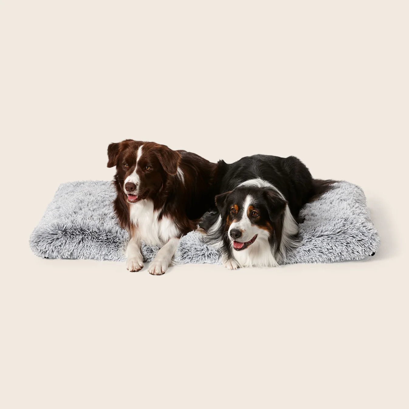 Calming Multimat for Dogs – Silver Fox Pet Anxiety Relief Mat | Perfect for Travel, Vet Visits & Home Comfort