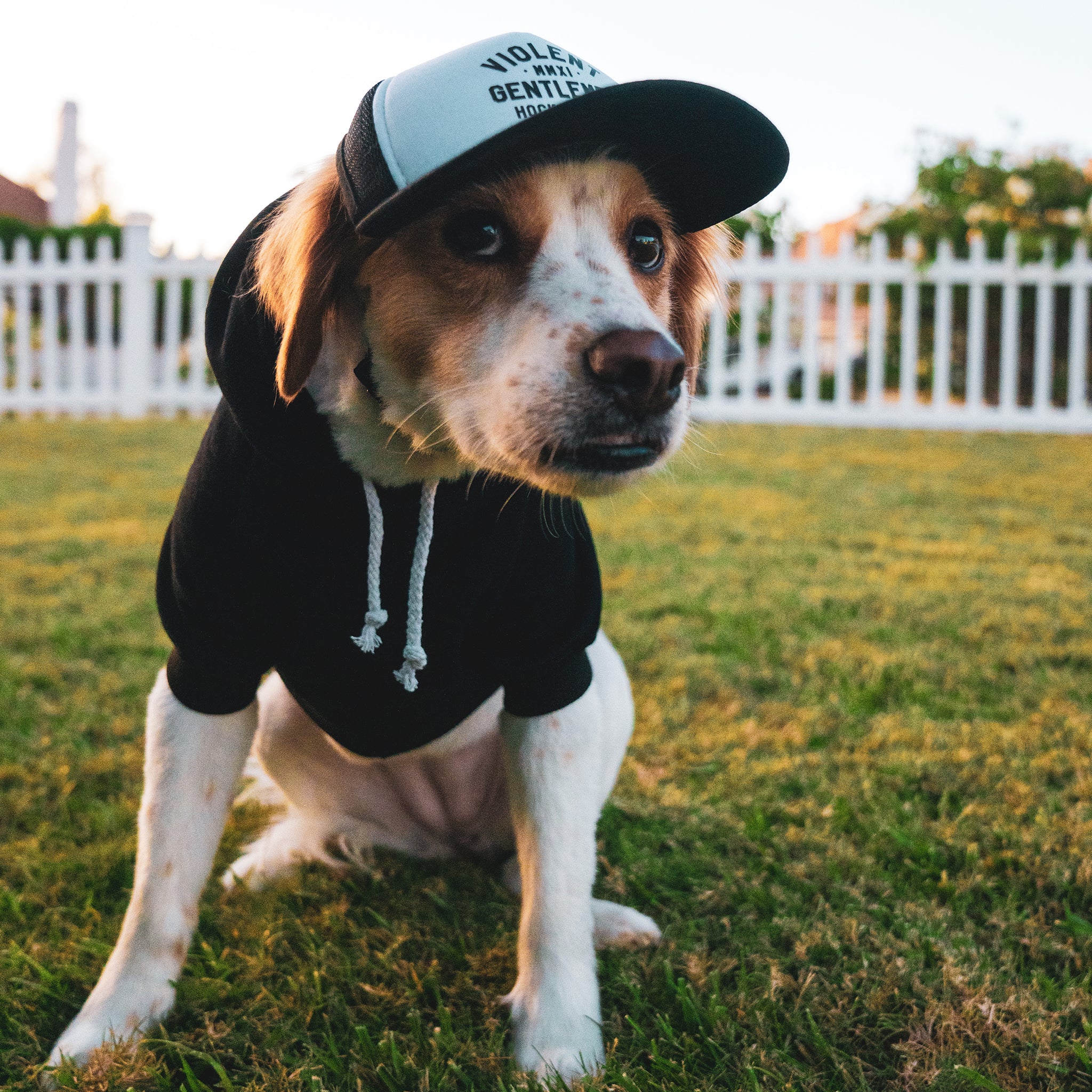 Loyalty Dog Pullover Hoodie - Cute Pet Hooded Sweatshirt for Dogs - Soft & Comfortable Dog Clothes for Small Medium Large Breeds - Perfect for Winter Walks, Outdoor Adventures & Photo Shoots