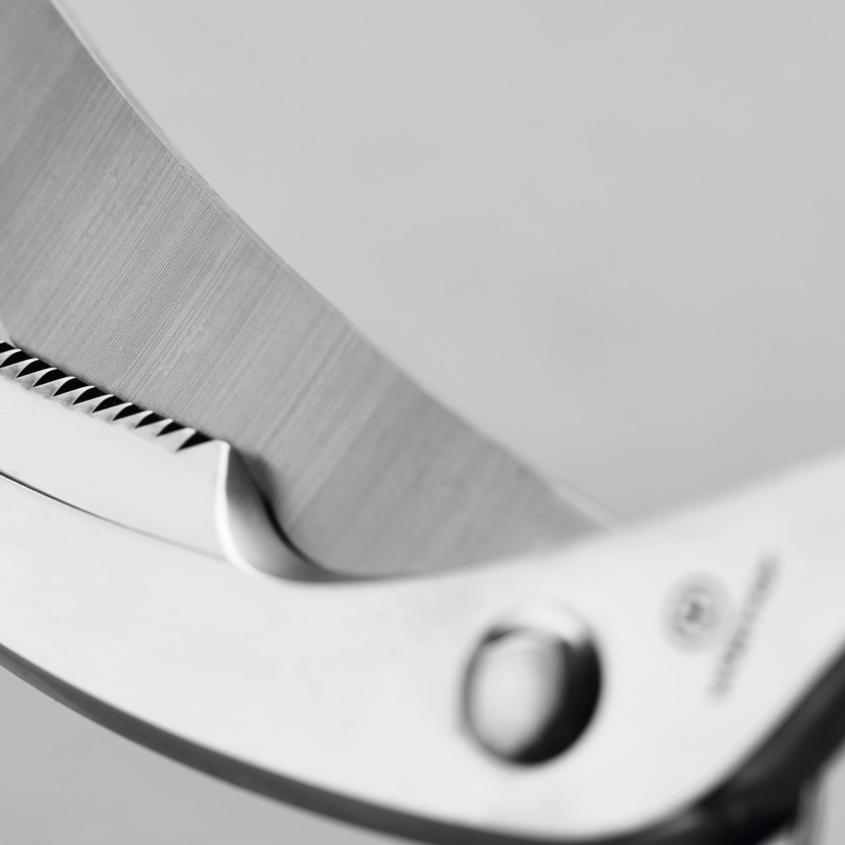 WUSTHOF Premium Stainless Steel Poultry Shears - 10 Inch Kitchen Scissors for Cutting Chicken, Turkey & Bones - Heavy Duty Cooking Shears for Professional Chefs & Home Cooks (Perfect for Meal Prep, Butchering & Food Processing)