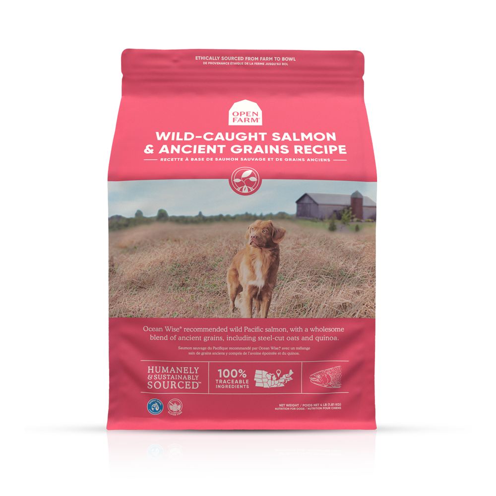 Open Farm Ancient Grains Dry Dog Food with Wild Salmon - Premium Grain-Inclusive Kibble for Adult Dogs - Supports Healthy Digestion & Shiny Coat - Perfect for Active Dogs & Daily Meals