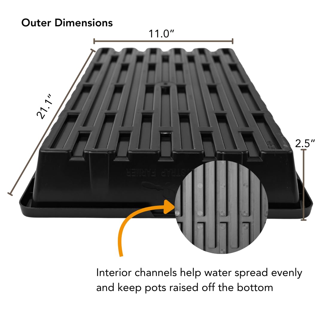 Bootstrap Farmer 1020 Seedling Tray with Drainage Holes - 5 Pack for Hydroponics, Microgreens & Indoor Gardening