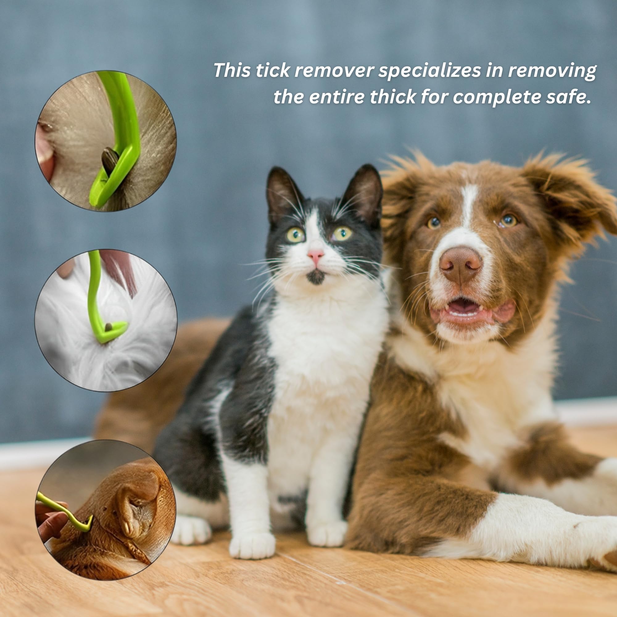 Tick Remover Tool for Humans & Pets - Safe & Easy Tick Removal Kit for Dogs & Cats - Small to XL Size Tick Tweezers - Twist & Pull Tick Removal Set of 5 - Perfect for Camping, Hiking & Outdoor Adventures