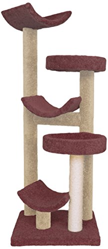 Burg/Beige