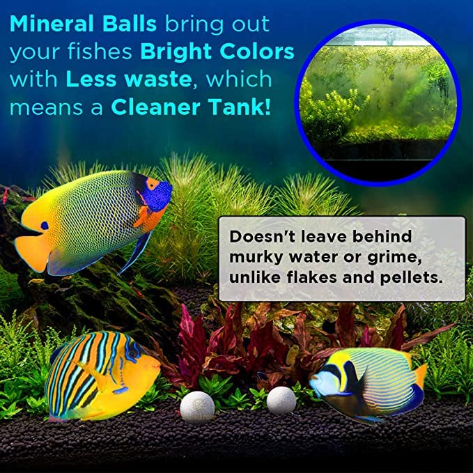 SunGrow Calcium-Rich Energy Balls for Aquariums - Betta Fish Breeding Support, Tank Cleaning Aid & Fish Activity Booster | Enhance Water Quality & Promote Healthy Fish Breeding in Freshwater Tanks