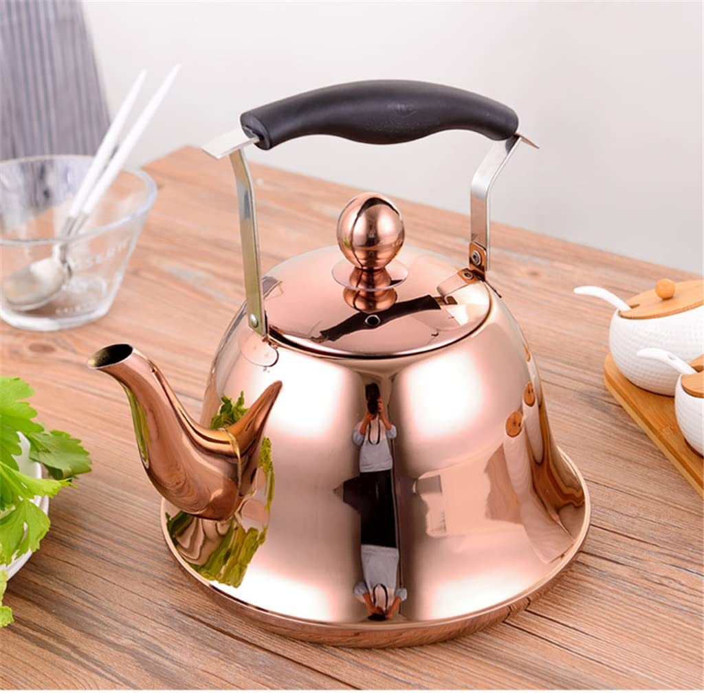 Premium Stainless Steel Whistle Tea Kettle - Induction & Gas Stove Compatible - Durable Household Teapot for Tea Lovers - Perfect for Camping, Kitchen & Outdoor Use (Color Options: A, B, C)