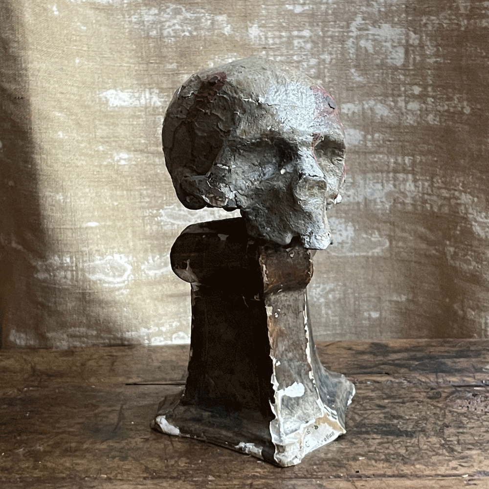 Vintage Early 20th Century Austrian Carved Skull - Antique European Gothic Decor for Home, Office & Halloween Display