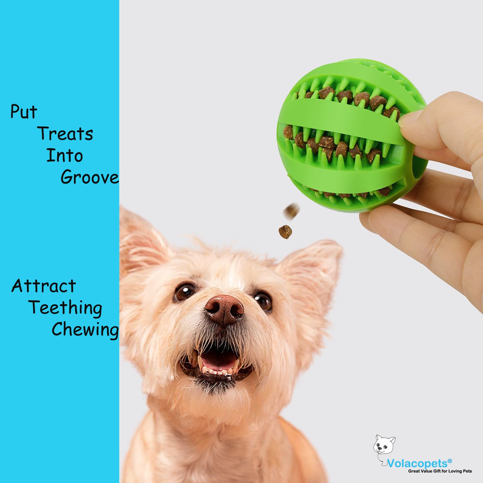 4 Pack Puppy Chew Toys - Teething Ball, Squeaky Rubber Balls for Small Dogs, Interactive Dog Enrichment Toys for Chewing & Play | Perfect for Puppy Training, Indoor Play & Outdoor Fetch Games