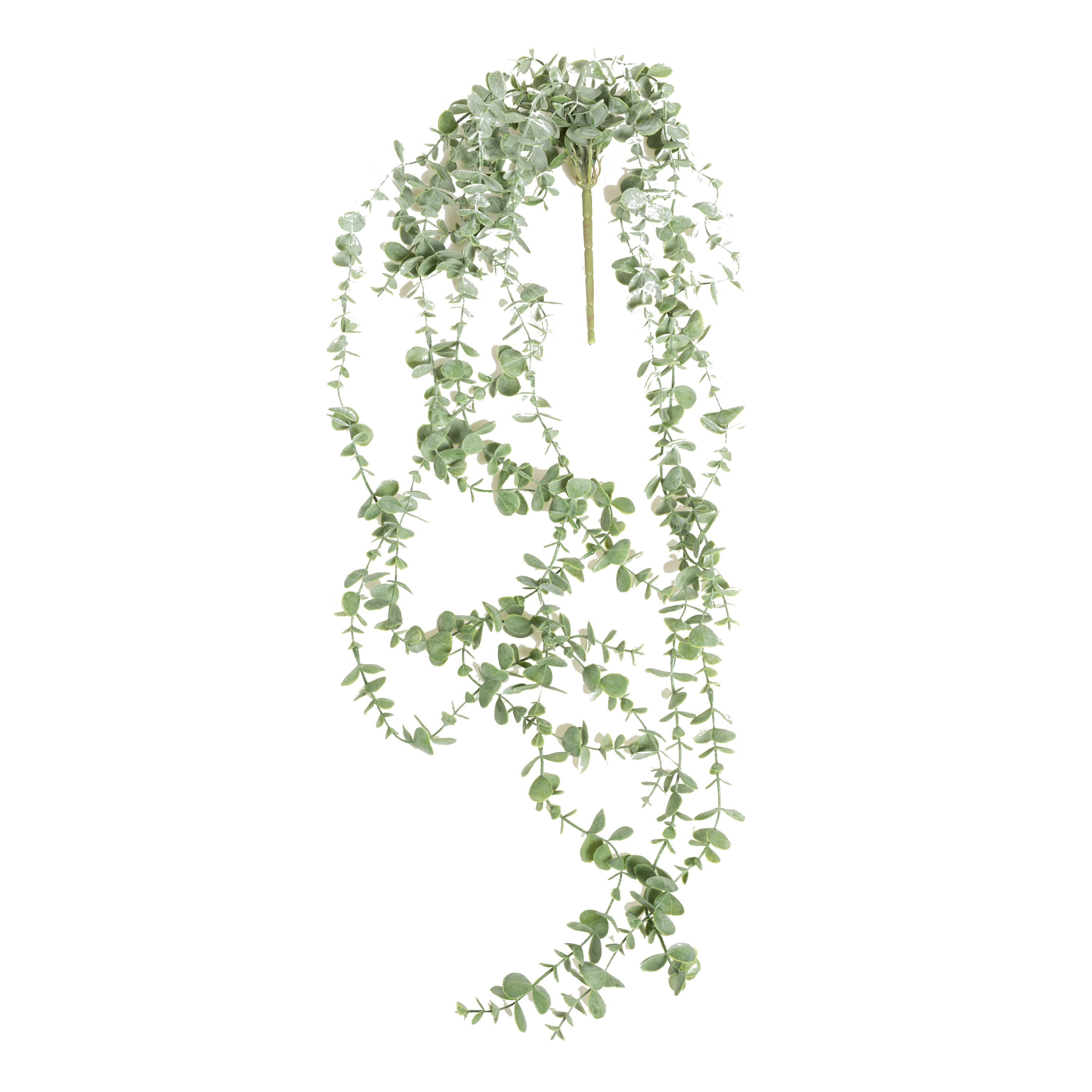 Eucalyptus Trailing Stem - Natural Dried Eucalyptus Branches for Home Decor, Wedding Bouquets & Floral Arrangements | Perfect for DIY Crafts, Wall Hangings & Aromatherapy