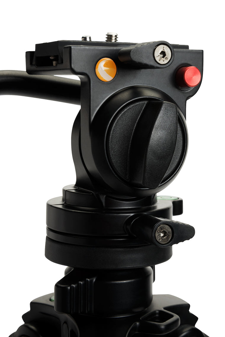 Celestron Regal Premium Tripod - Heavy Duty Aluminum Tripod for Telescopes, Binoculars & Cameras - Perfect for Astronomy, Bird Watching & Outdoor Photography