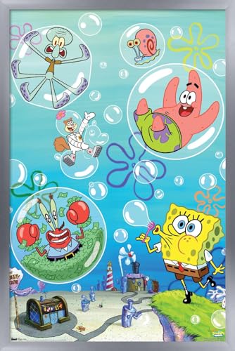 Silver Framed Version