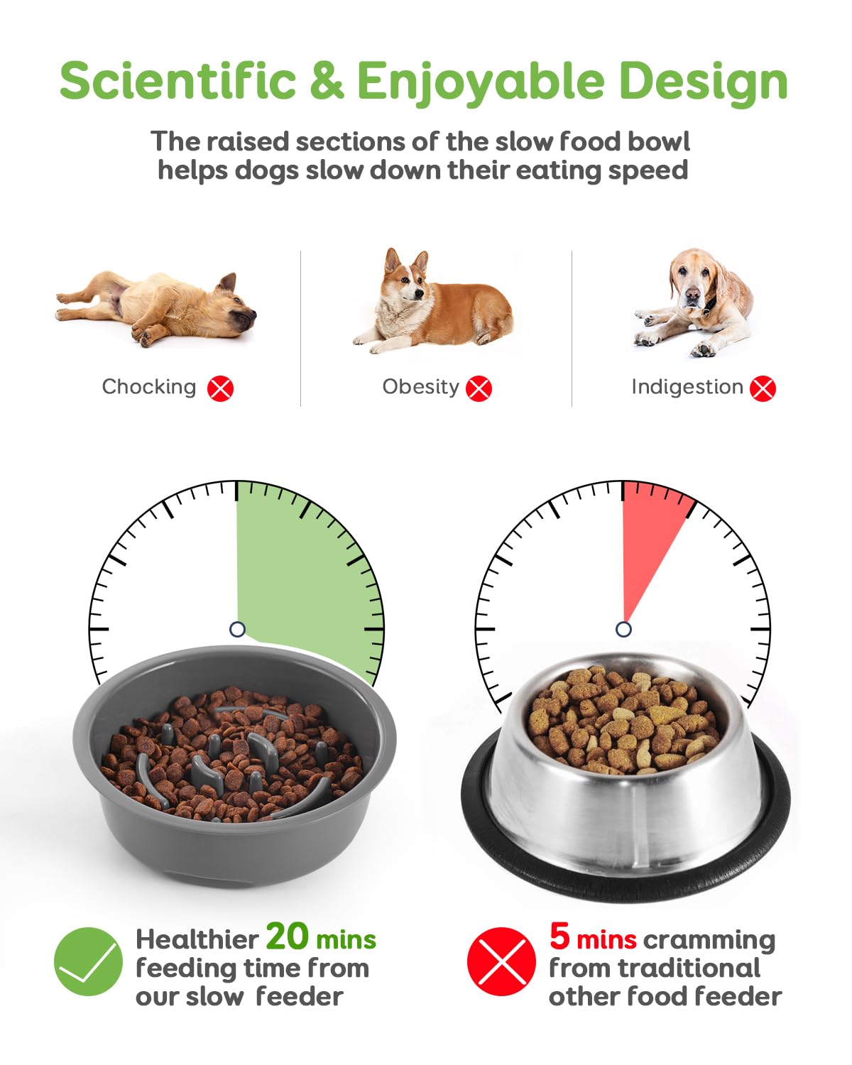 Elevated Slow Feeder Dog Bowl with Adjustable Stand (3 Heights 6.1