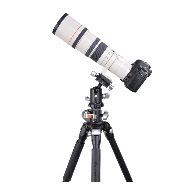 VEO BH 160S Dual Axis Ball Head for DSLR Camera - Professional 360° Panoramic Photography Tripod Head with Quick Release Plate - Perfect for Landscape, Architecture & Astrophotography