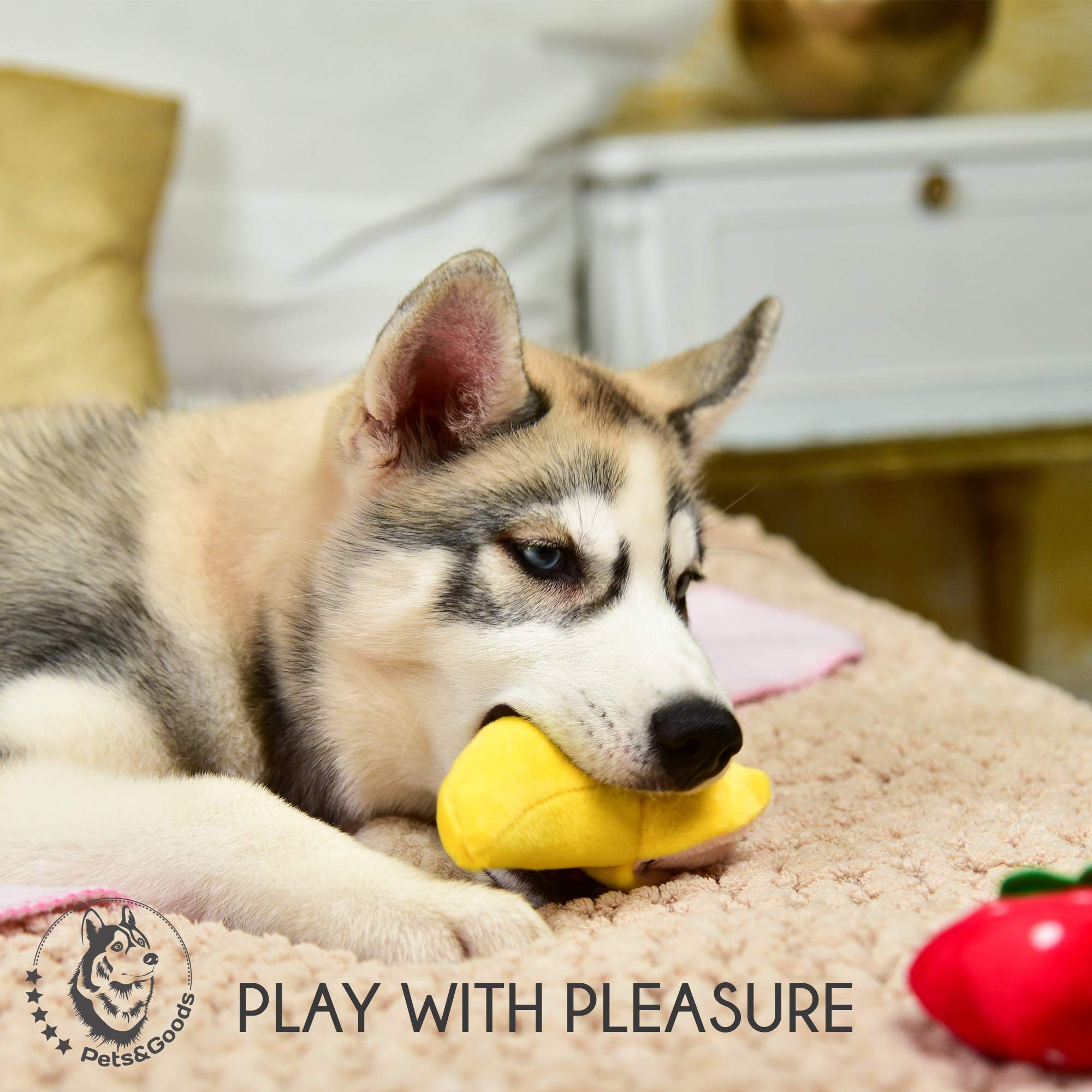 Upgraded Squeaky Plush Dog Toys for Small Breeds - Puppy Chew Toys Set with Vegetables & Fruits - Safe & Durable Soft Dog Toys for Teething, Playtime & Training - Perfect for Indoor & Outdoor Use