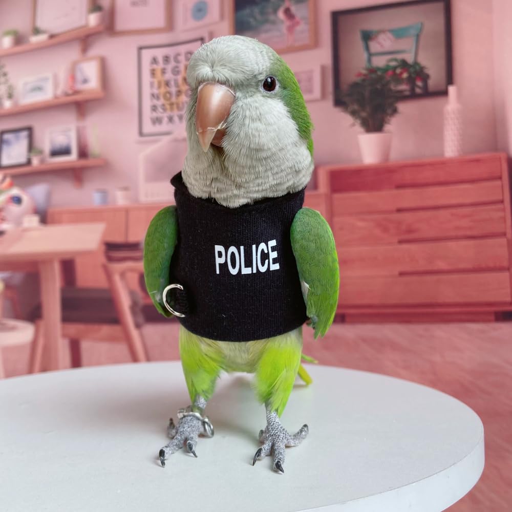 Bird Costume Diaper Flight Suit - Blue Quaker Parrot Cosplay Hoodie for Parakeets, Cockatiels & Sun Conures | Small Pet Apparel Without Diaper | Perfect for Photo Shoots, Bird Shows & Halloween Costumes